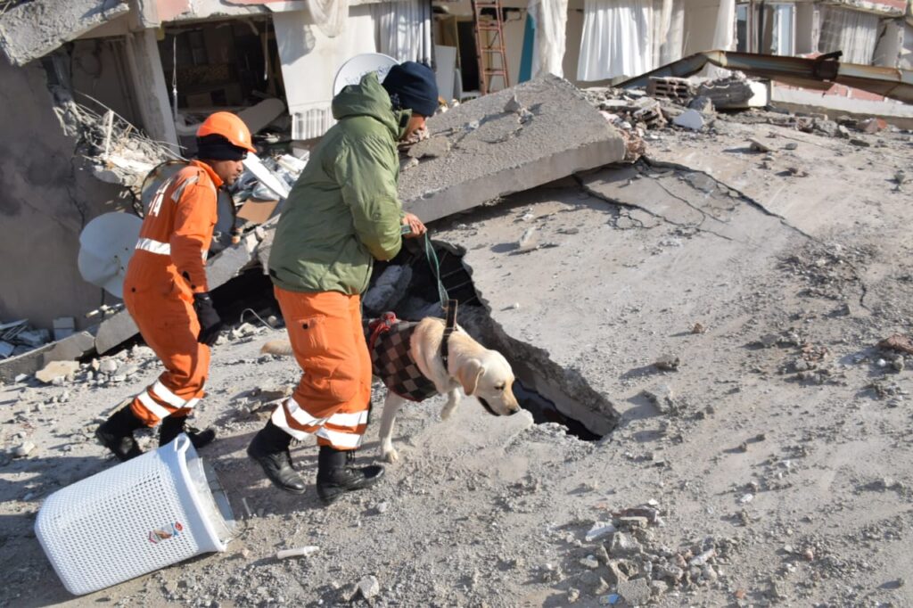 NDRF इंडिया ने तुर्किये में 61 शव निकाले