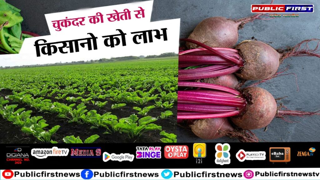 चुकंदर की खेती से किसानो को लाभ