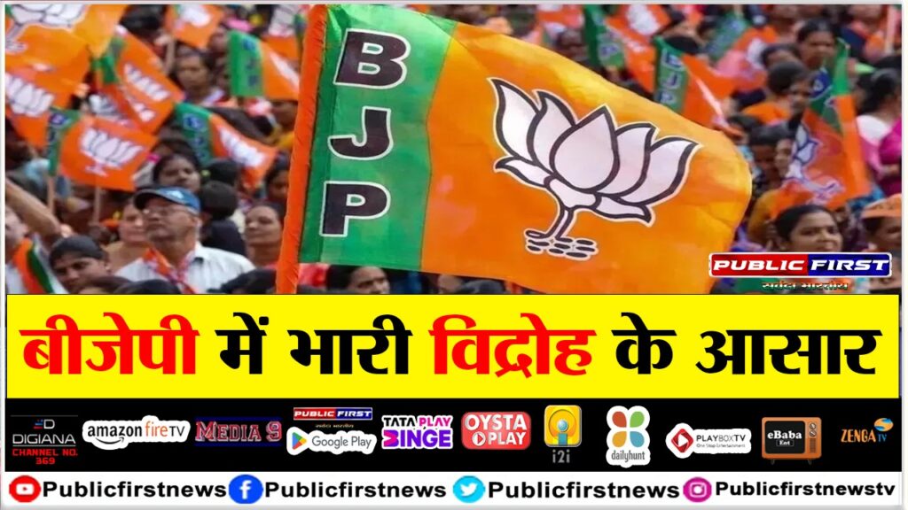 बीजेपी में भारी विद्रोह के आसार