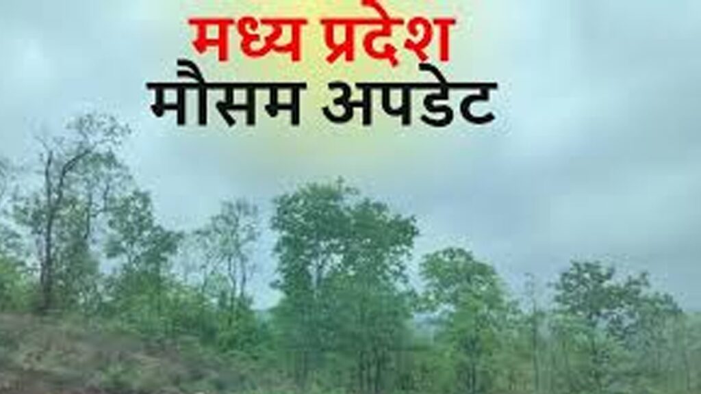 प्रदेश में फिर से तेज बारिश का शुरू होगा दौर..सितंबर की शुरुआत होगी तेज बारिश के साथ..