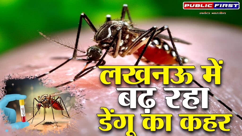 राजधानी में बढ़ रहा डेंगू का कहर।