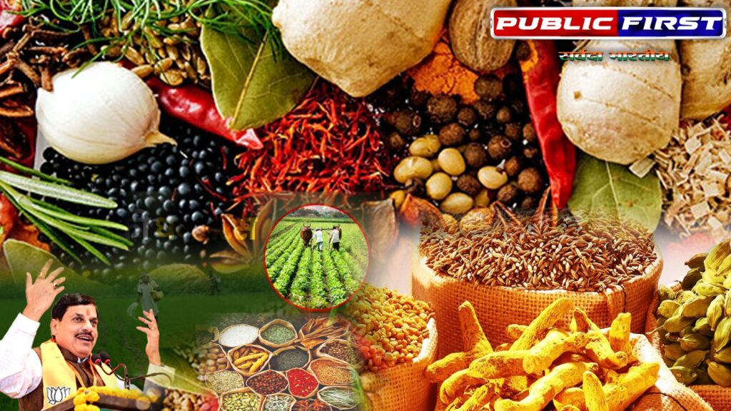 SPICES | मसाला उत्पादन में नंबर वन बना एमपी ।