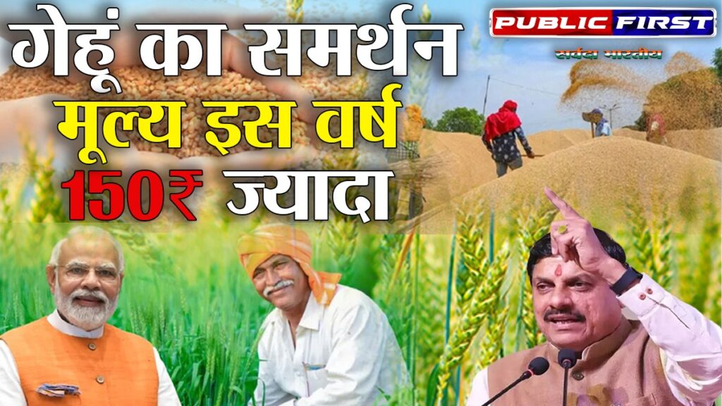 KISANFIRST | पिछले वर्ष से 150 रुपये ज़्यादा किया गेहूं का न्यूनतम समर्थन मूल्य । 2425 रूपये क्विंटल निर्धारित ।