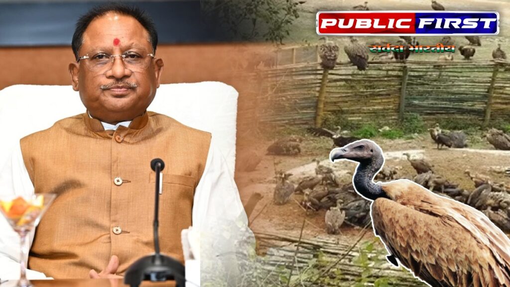 VULTURE | गिद्ध संरक्षण पर रायपुर में कार्यशाला का होगा आयोजन |