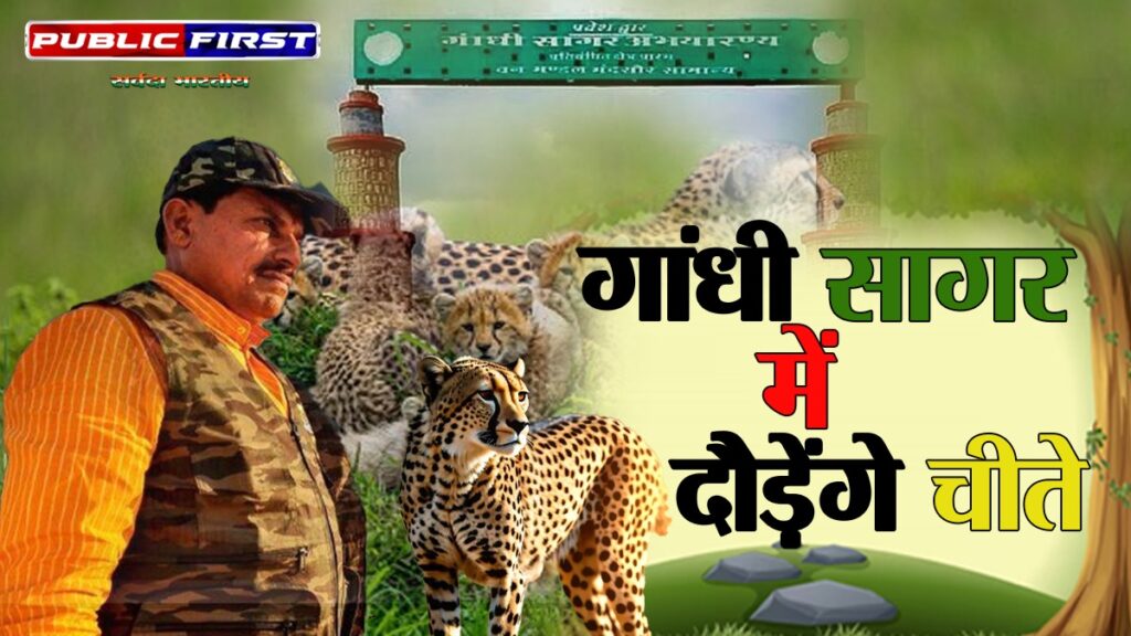 #FOREST FIRST | मध्यप्रदेश का दूसरा ‘चीता होम’ बना गांधी सागर अभयारण्य |