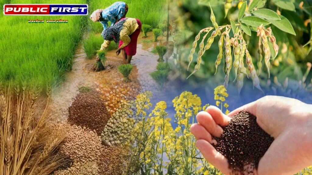 #KISAN FIRST | देश में ग्रीष्मकालीन फसलों की बुवाई में ऐतिहासिक बढ़ोतरी ।
