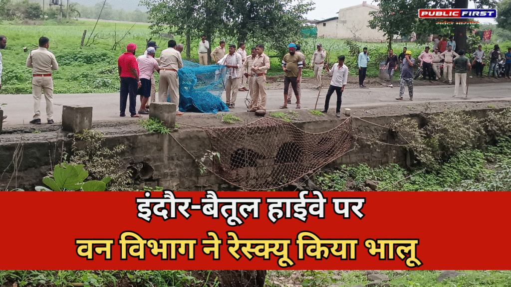 इंदौर-बैतूल हाईवे पर मकान में घुसा भालू, वन विभाग ने किया रेस्क्यू इंदौर-बैतूल हाईवे पर मकान में घुसा भालू, वन विभाग ने किया रेस्क्यू