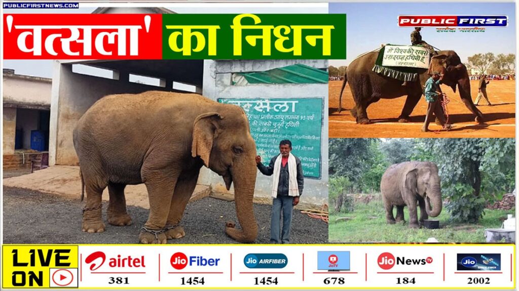 एशिया की सबसे बुजुर्ग हथिनी 'वत्सला' का निधन