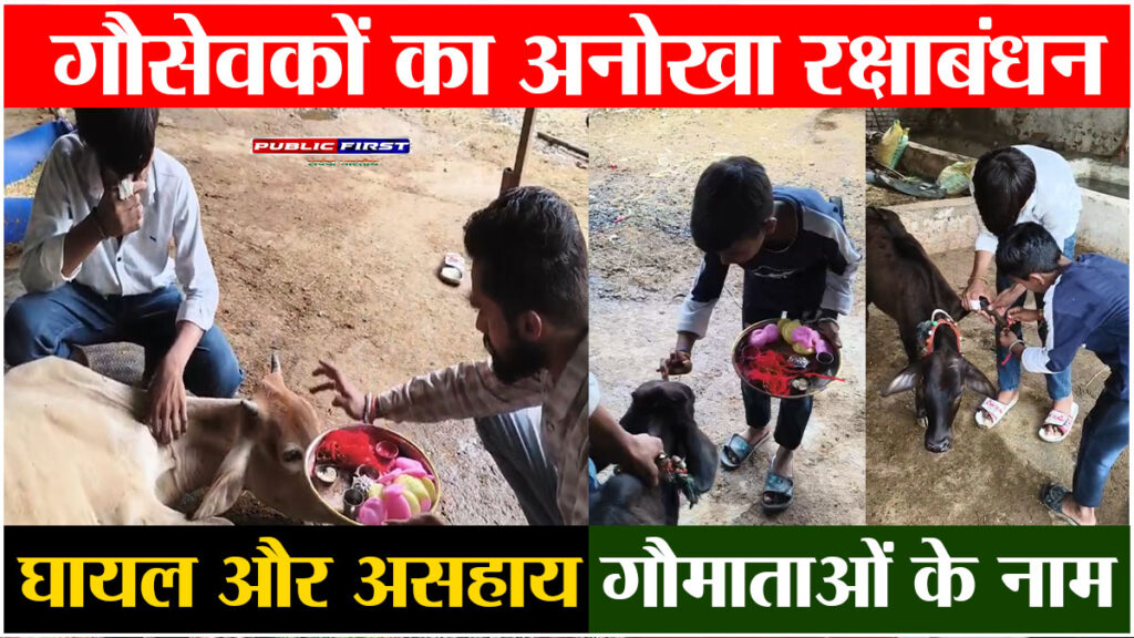 #MP FIRST | शाजापुर में घायल गौमाता और नंदी महाराज को रक्षा सूत्र बांधकर किया सम्मान, गौसेवक समिति का अनोखा रक्षाबंधन
