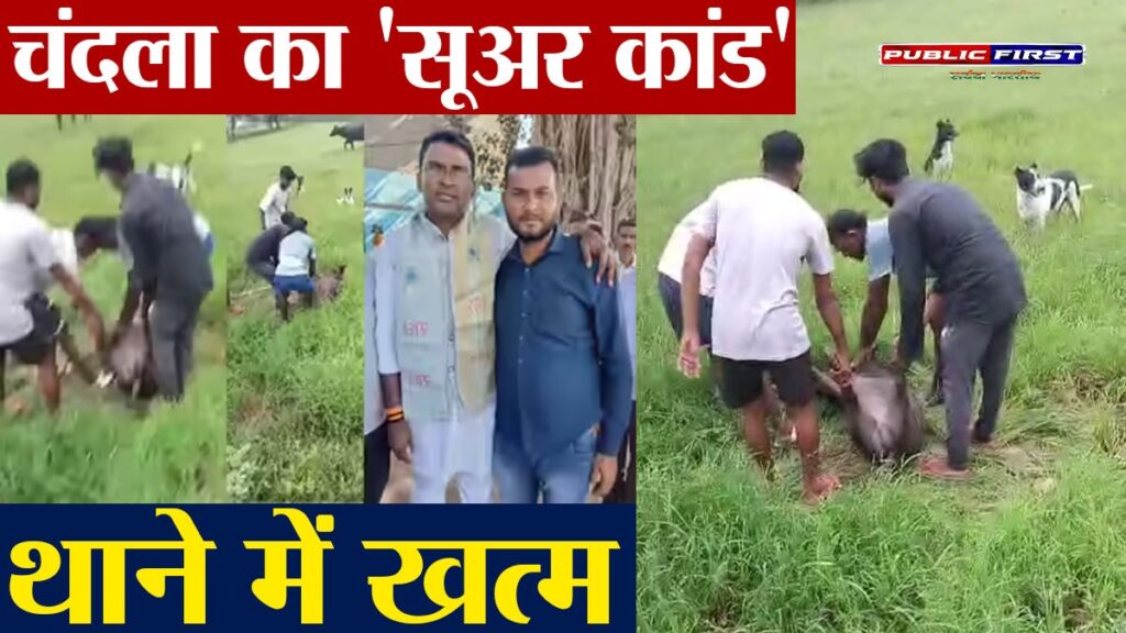 #CHANDLA | “चंदला के ठकुर्रा में ‘सूअर कांड’ का अंत, थाने में हुआ राजीनामा”
