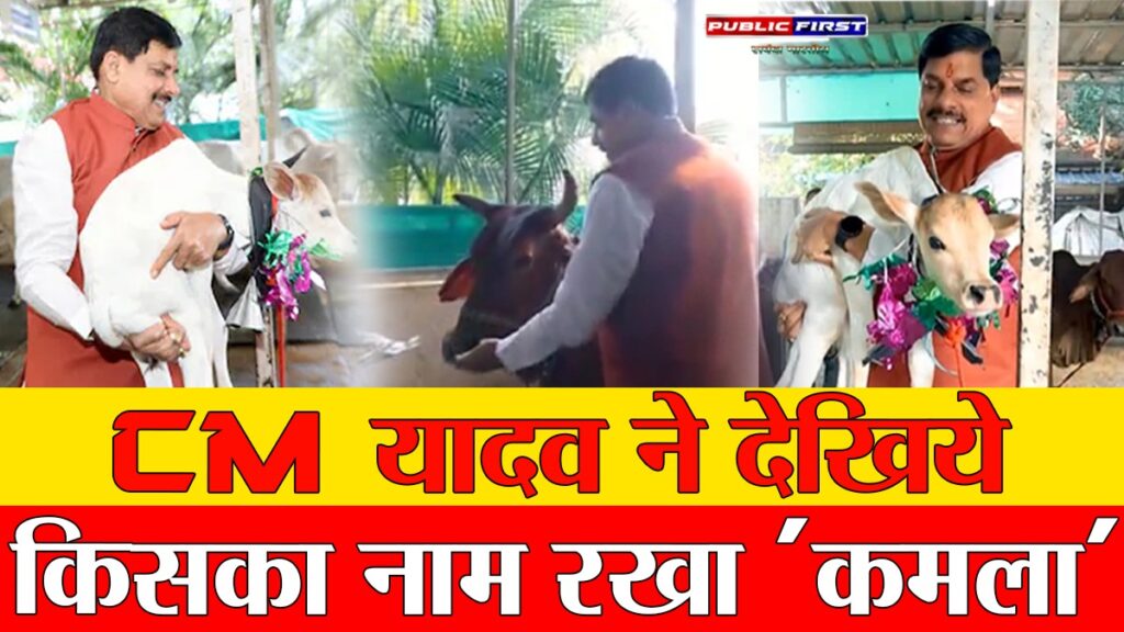#MP मुख्यमंत्री डॉ. यादव ने नवजात बछिया का किया नामकरण