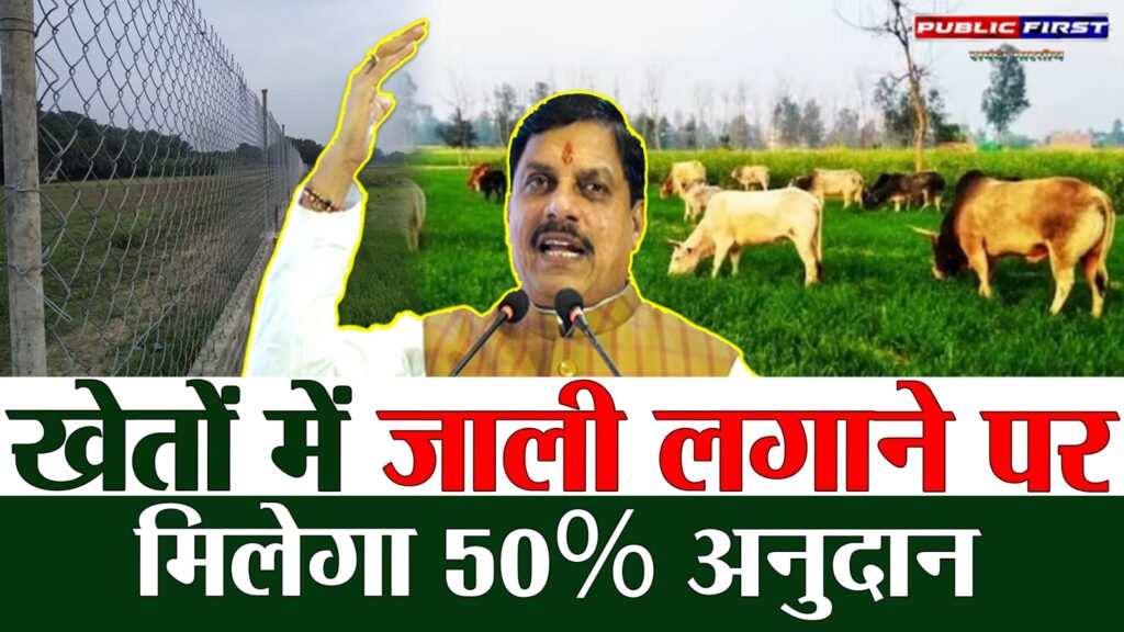 #KISAN FIRST | खेतों में जाली लगाने पर मिलेगा 50% अनुदान – मध्यप्रदेश सरकार की नई योजना |