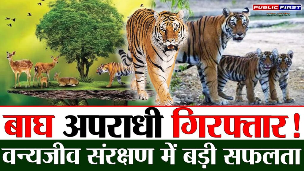 #MP FIRST | वन्यजीव संरक्षण की बड़ी सफलता, 10 साल से वांछित अंतरराष्ट्रीय वन्यजीव अपराधी गिरफ्तार |