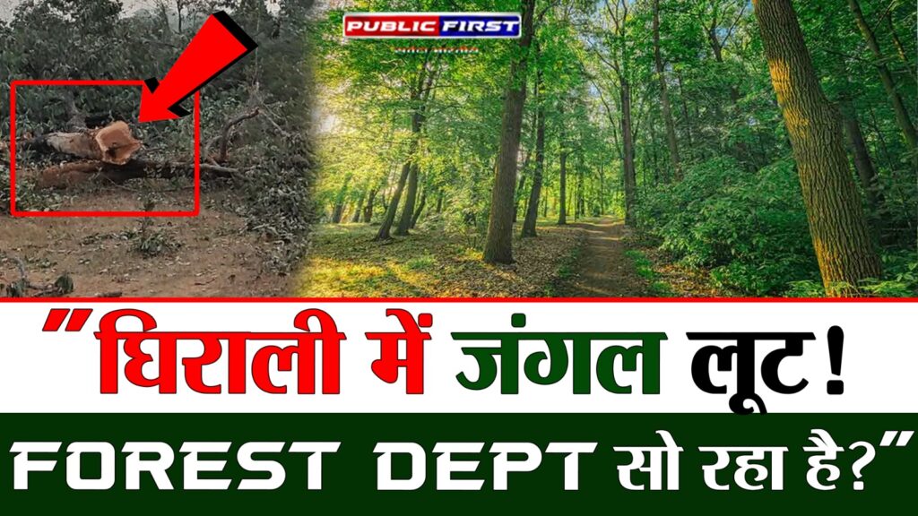 #FOREST FIRST | Forest Department पर सवाल: सिंगरौली में पेड़ों की सामूहिक कटाई का सच |