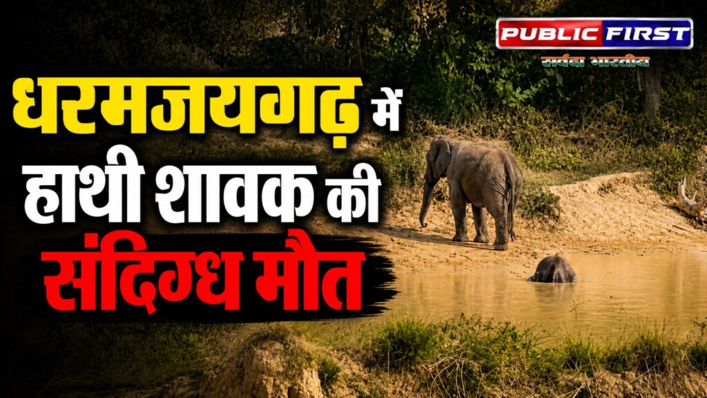 #CG FIRST | धरमजयगढ़ में हाथी शावक की संदिग्ध मौत, वन विभाग में मचा हड़कंप |
